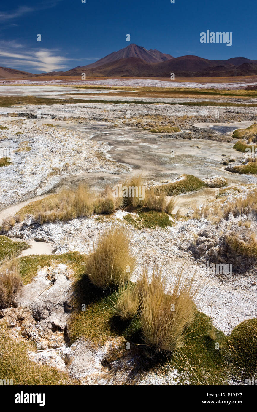Les dépôts de sel près des valeurs de Calientes Lagoon dans le désert d'Atacama au Chili Banque D'Images