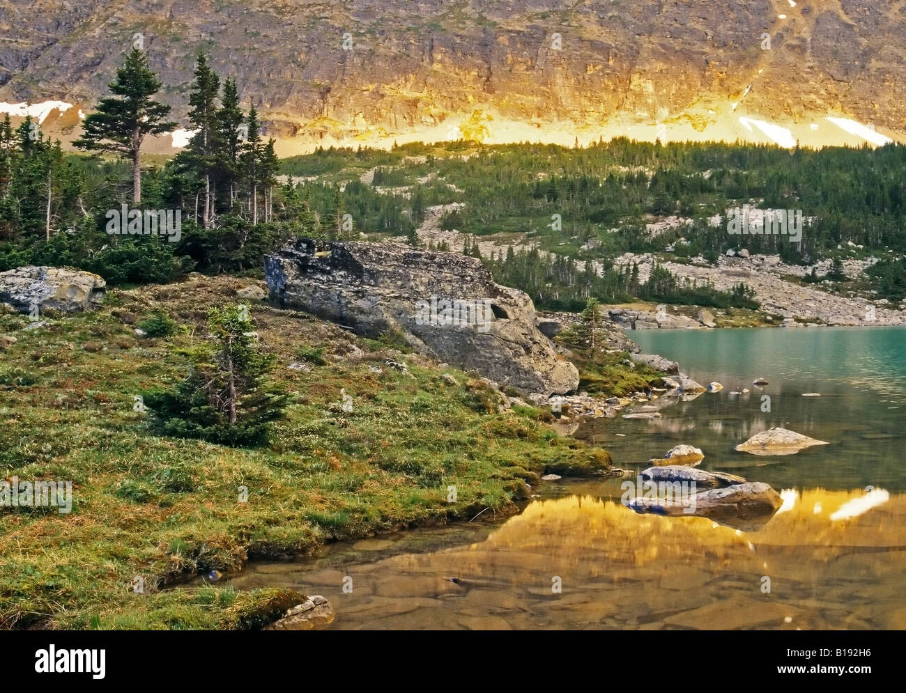 Le long du sentier du mont Fitzwilliam, le parc provincial du mont Robson, British Columbia, Canada. Banque D'Images