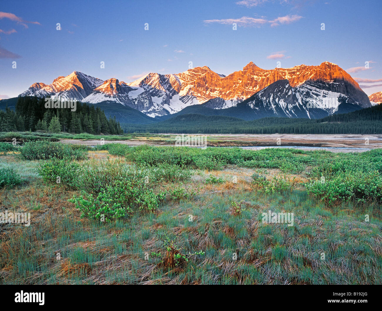 Prairie en bordure de la rive du lac Lower Kananaskis, parc provincial Peter Lougheed, Kananaskis, Alberta, Canada. Banque D'Images