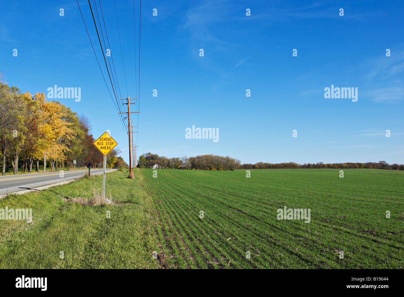 Près de Kenosha WISCONSIN les semis de blé d'hiver dans la rangée dans la zone a récemment poussé chemin rural school bus stop à venir signer Banque D'Images