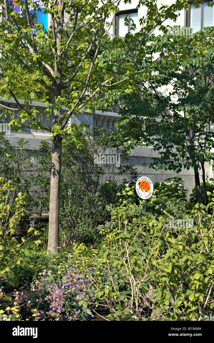 Les musées de Chicago, dans l'Illinois, Zone sans pesticides signer dans jardin à Shedd Aquarium Museum Campus ladybug on sign Banque D'Images