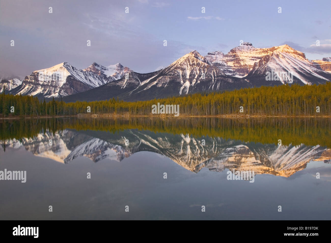 Herbert Lake et la gamme Bow, Banff National Park, Alberta, Canada Banque D'Images