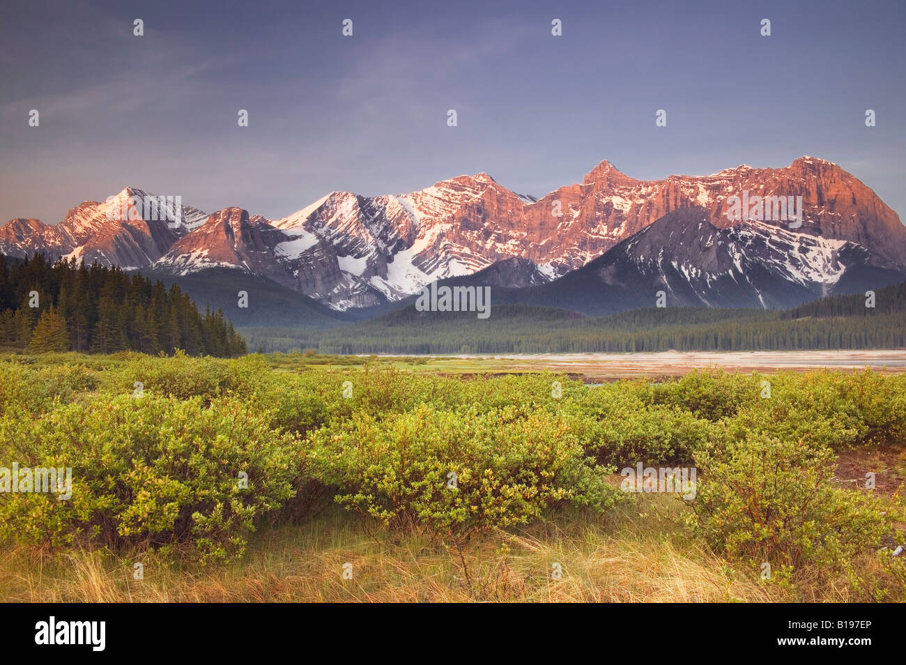 Mt. Sarrail, Mt. Foch, et Mt. Fox et lac Lower Kananaskis, Peter Lougheed Prov. Parc, Kananaskis, Alberta, Canada Banque D'Images