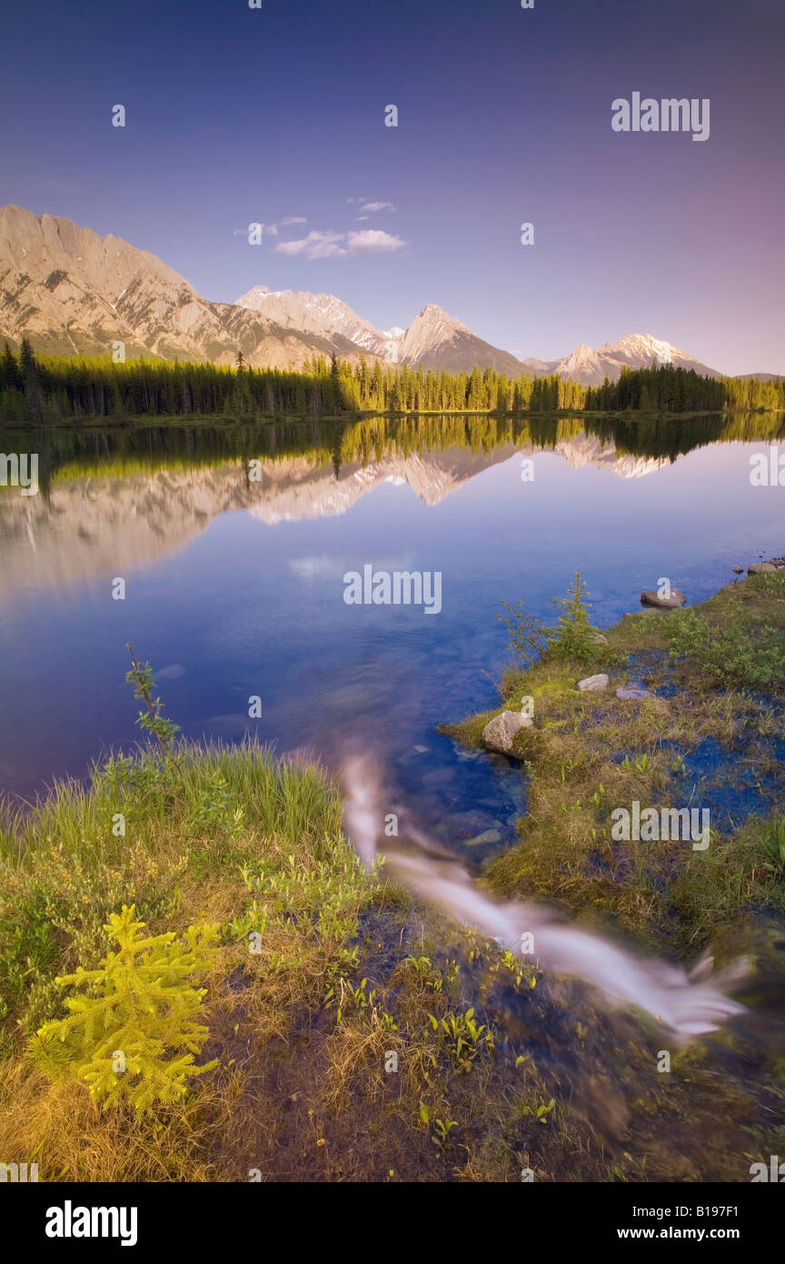 Le lac, le déversoir et l'élan de l'Opale, Peter Lougheed, Prov. Parc, Kananaskis, Alberta, Canada Banque D'Images