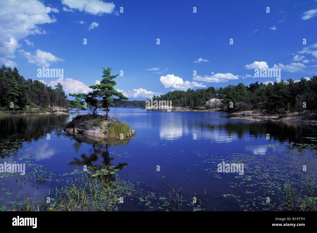 Petite île, Whitefish Falls, au nord de l'île Manitoulin, dans la baie Georgienne, du lac Huron, Ontario, Canada Banque D'Images