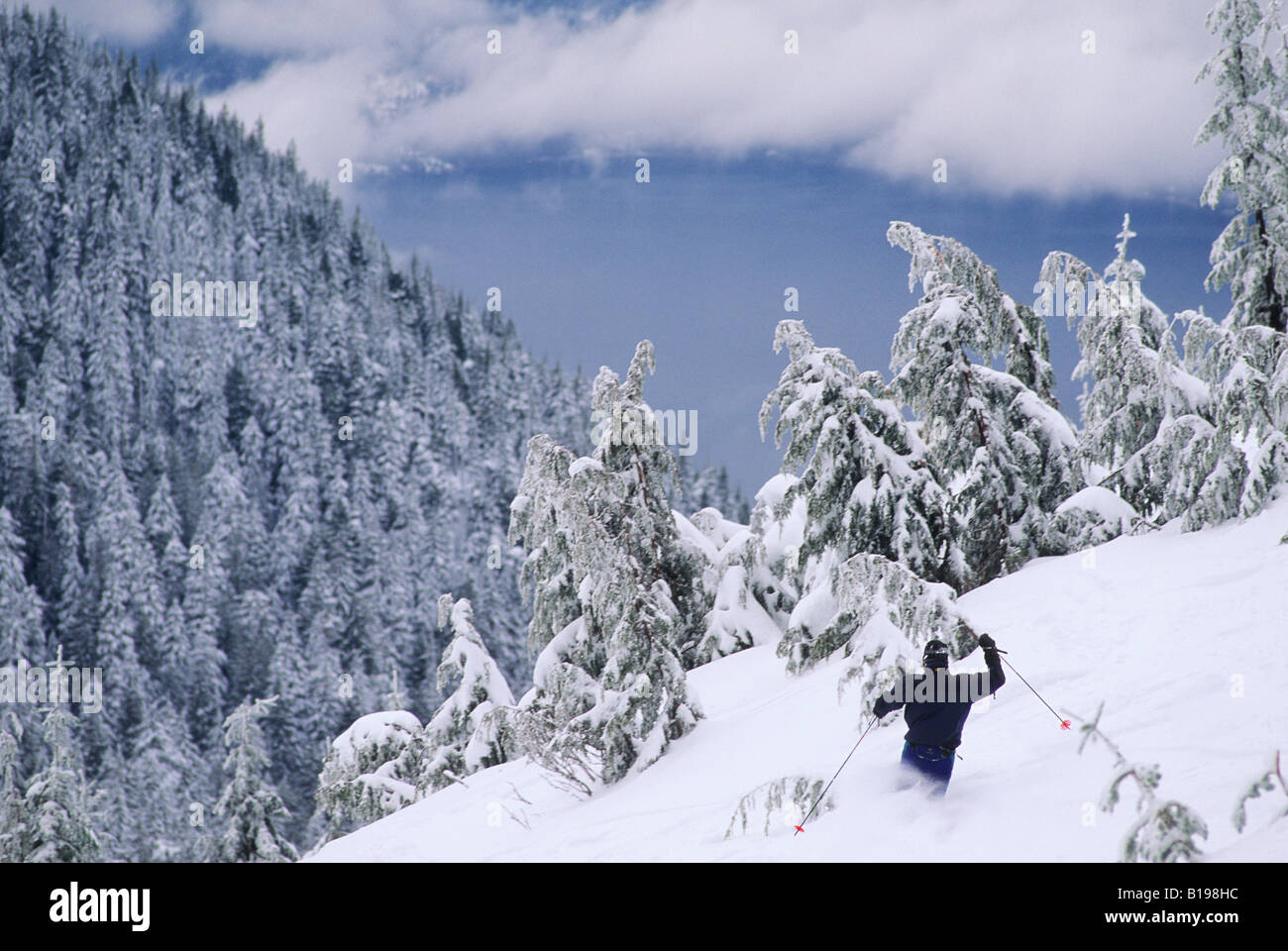 Ski homme Top Gun à Cypress Bowl, West Vancouver, British Columbia, Canada. Banque D'Images