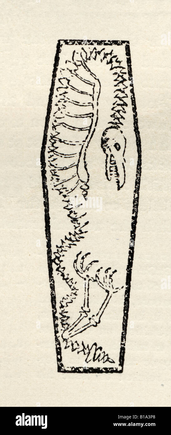 La notice nécrologique de monster trucage. Banque D'Images