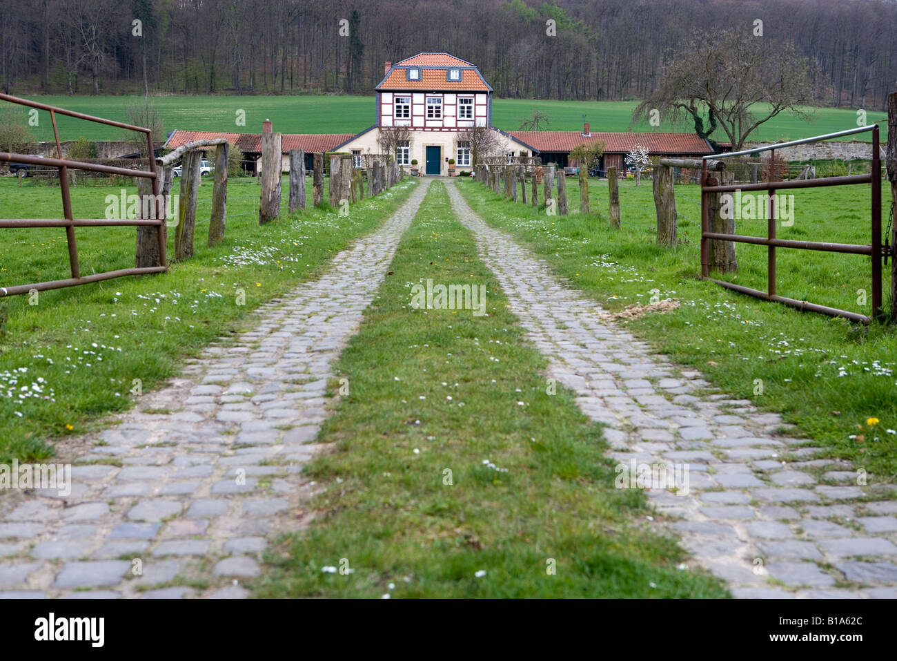 La vie dans le pays du rêve de la maison de son propre Leben auf dem Lande der Traum vom eigenen Haus Laves Laves chemin culture Banque D'Images