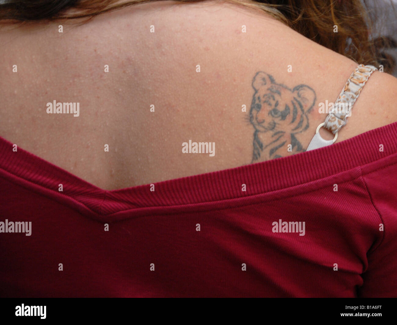 Tiger Tattoo Banque D Image Et Photos Page 2 Alamy