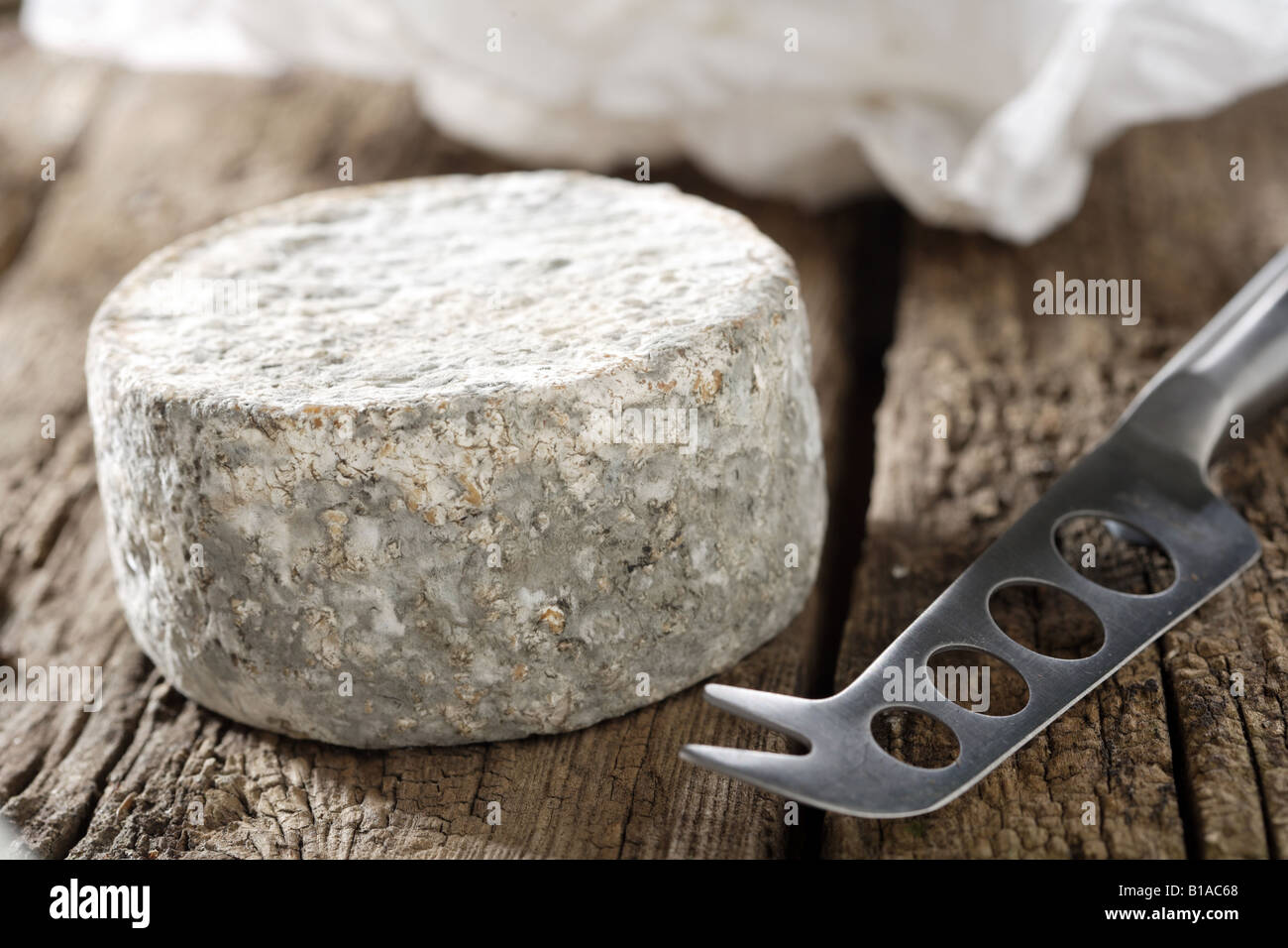 Fromage de chèvre Banque D'Images