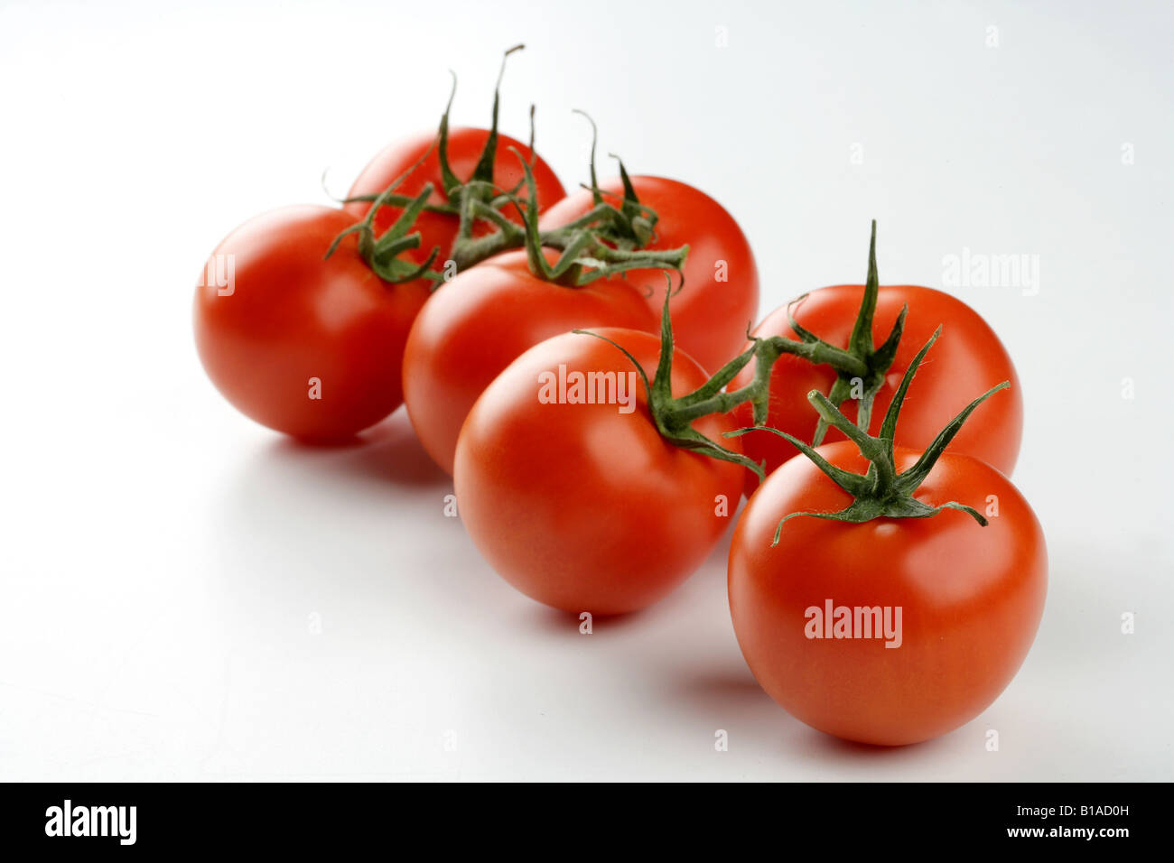 Tomates grappe Banque D'Images