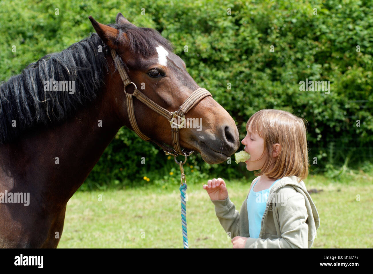 Petite fille avec une pomme dans sa bouche va nourrir une gâterie à son animal de compagnie pony Banque D'Images