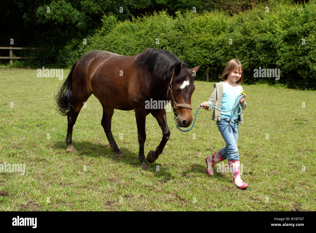 Little girl holding sa pony par le rein dans l'exercice paddock Banque D'Images