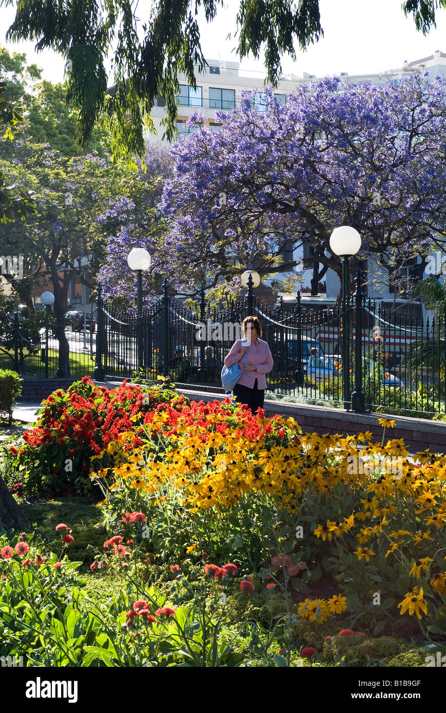 dh Parque de Santa Catarina FUNCHAL MADÈRE Femme touriste regardant la fleur dans les jardins fleuris Banque D'Images