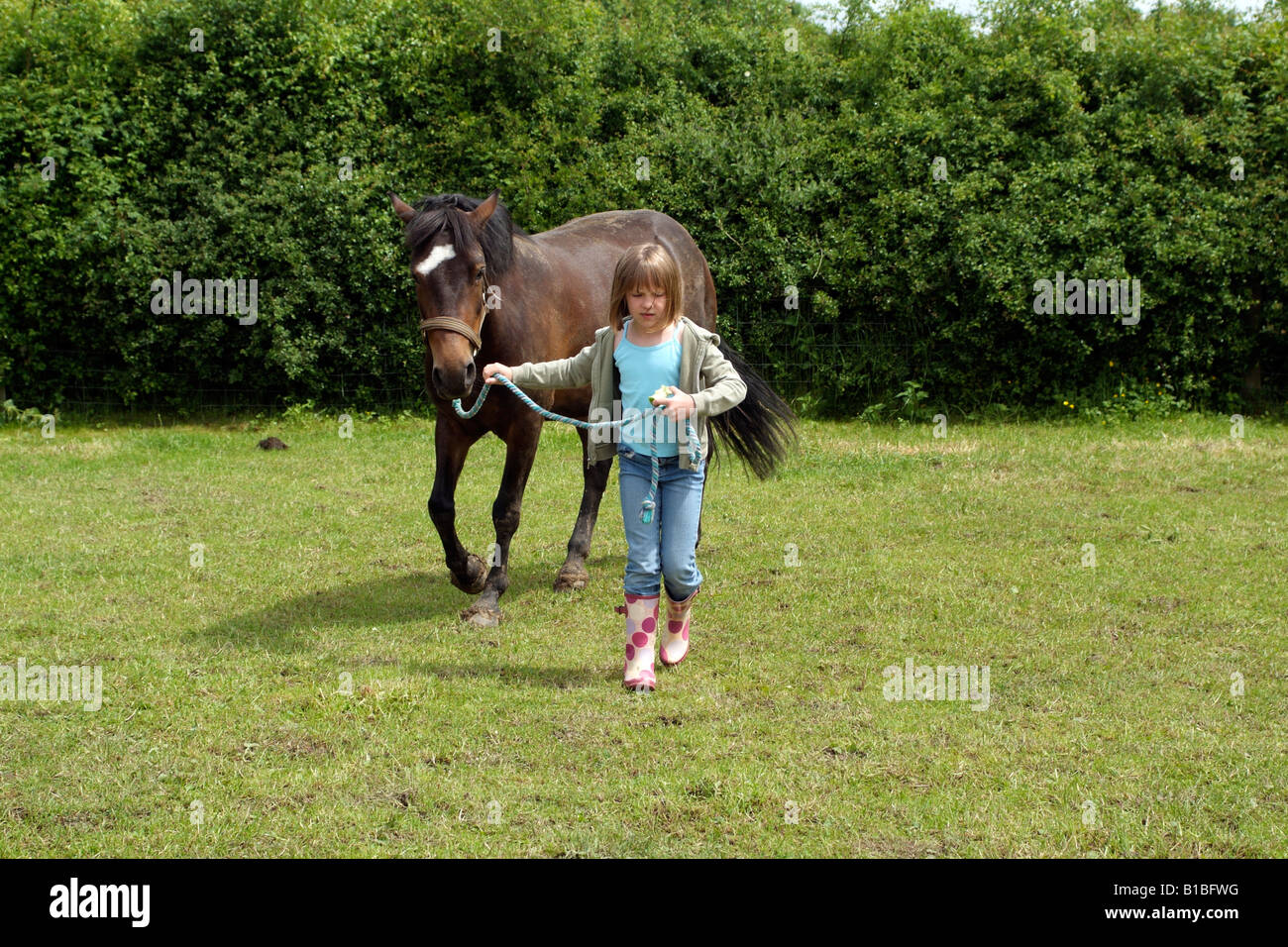 Little girl holding sa pony par le rein dans un enclos d'exercice Banque D'Images
