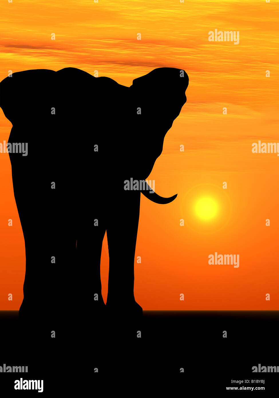 L'éléphant un éléphant silhouette sur un fond de coucher du soleil Banque D'Images