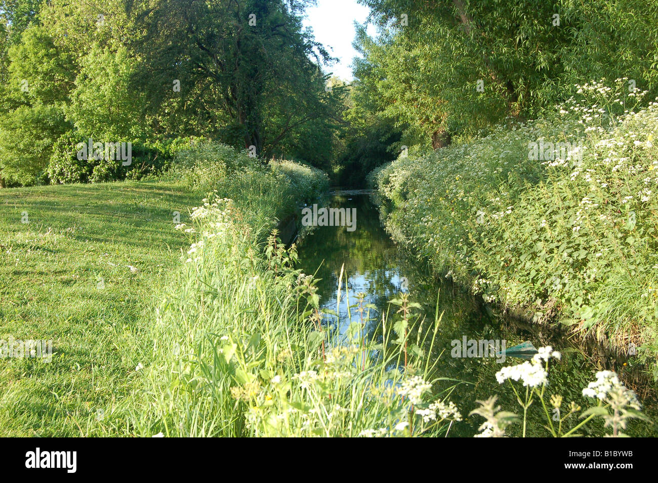 Un canal qui coule dans la région de Montrose, Burnt Oak Pk, Barnet, London Banque D'Images