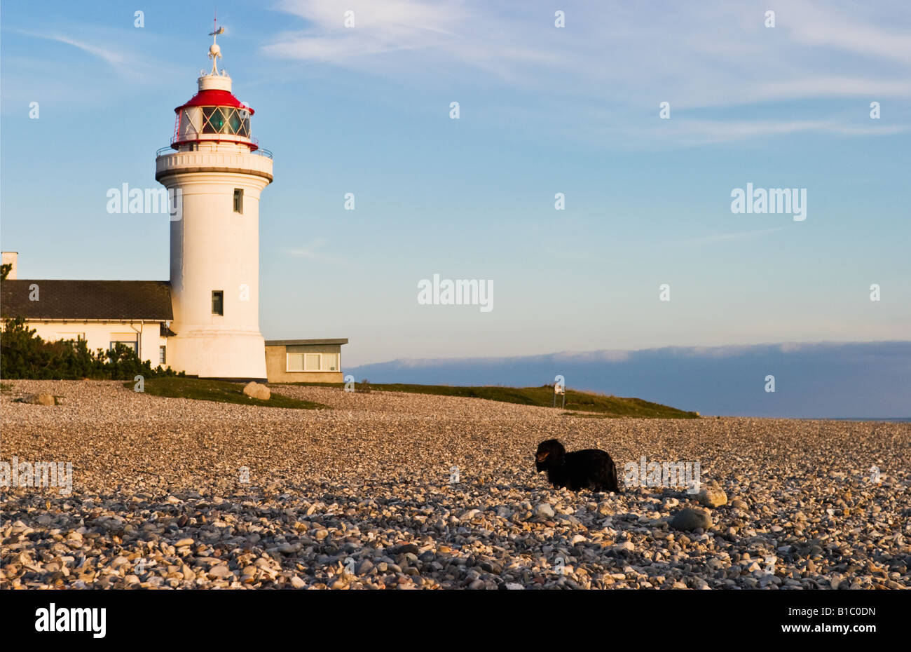 Phare Sletterhage au Danemark et un teckel sur la plage Banque D'Images