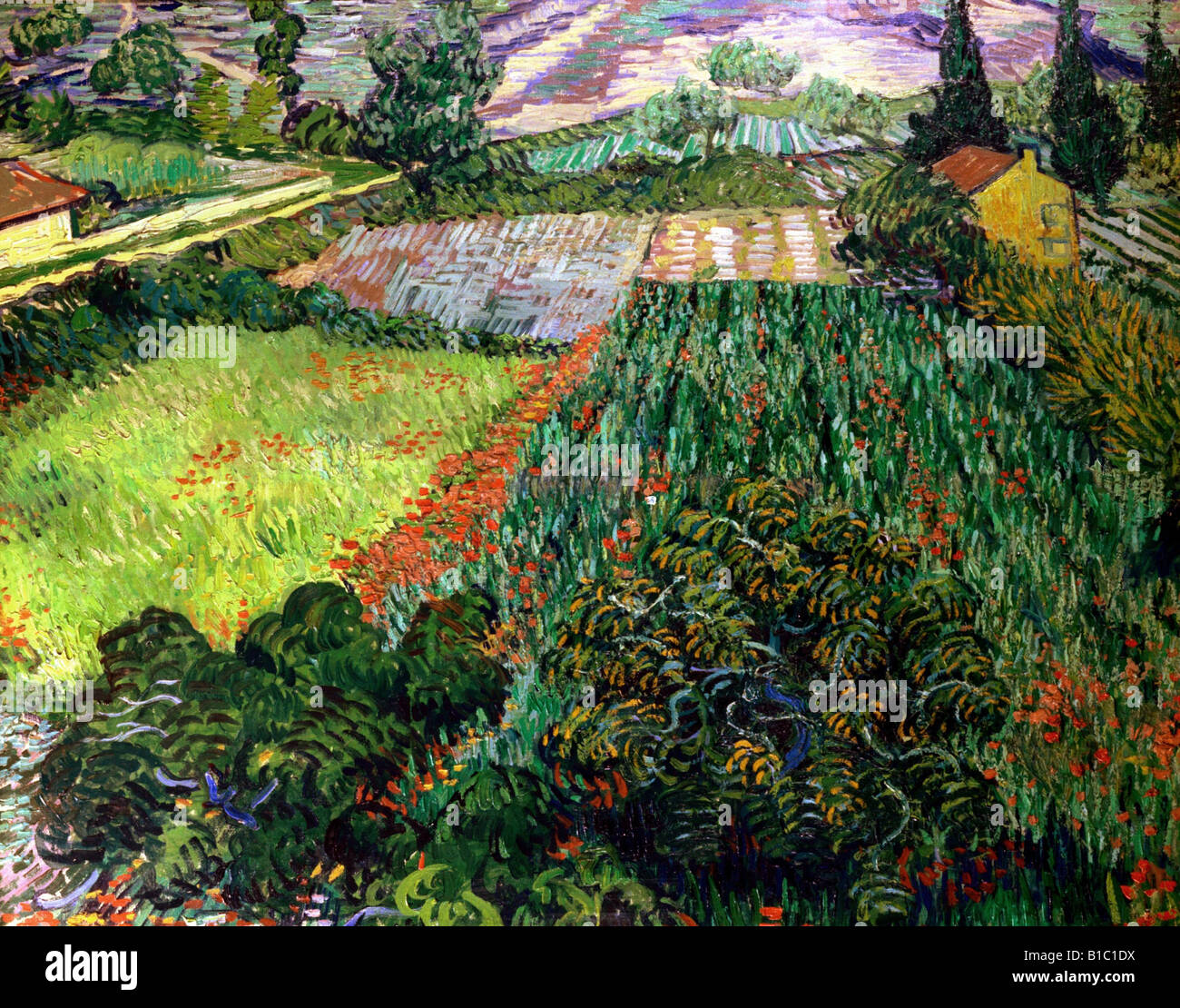 Beaux-arts, Vincent van Gogh, (1853 - 1890), peinture, "champ de coquelicots,', 1889 / 1890, huile sur toile, 71 cm x 91 cm, hall des arts, Banque D'Images