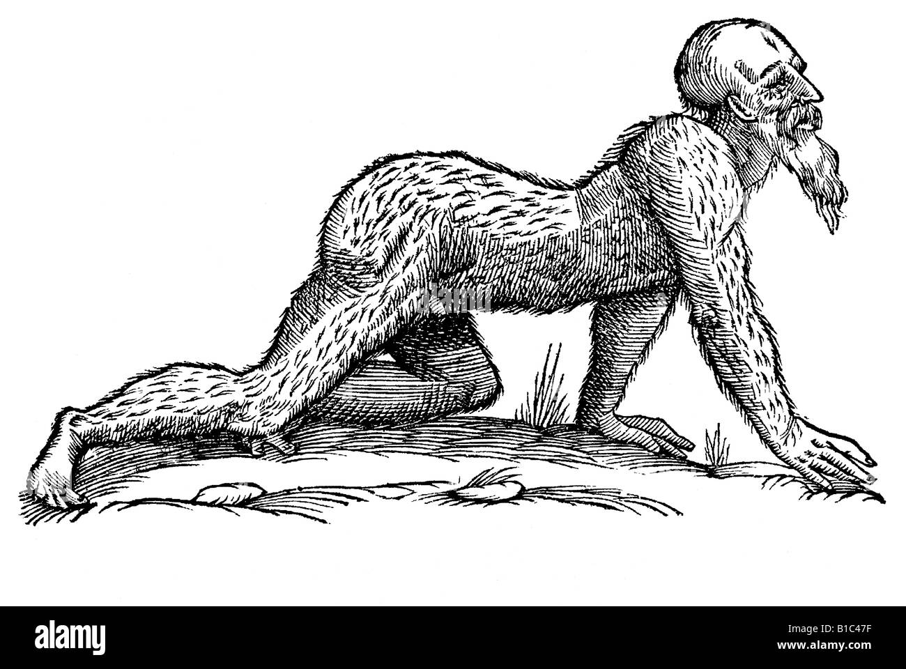 L'Homo villosus manugradus, Aldrovandi, 1642, 17e siècle, la renaissance, l'Europe Banque D'Images