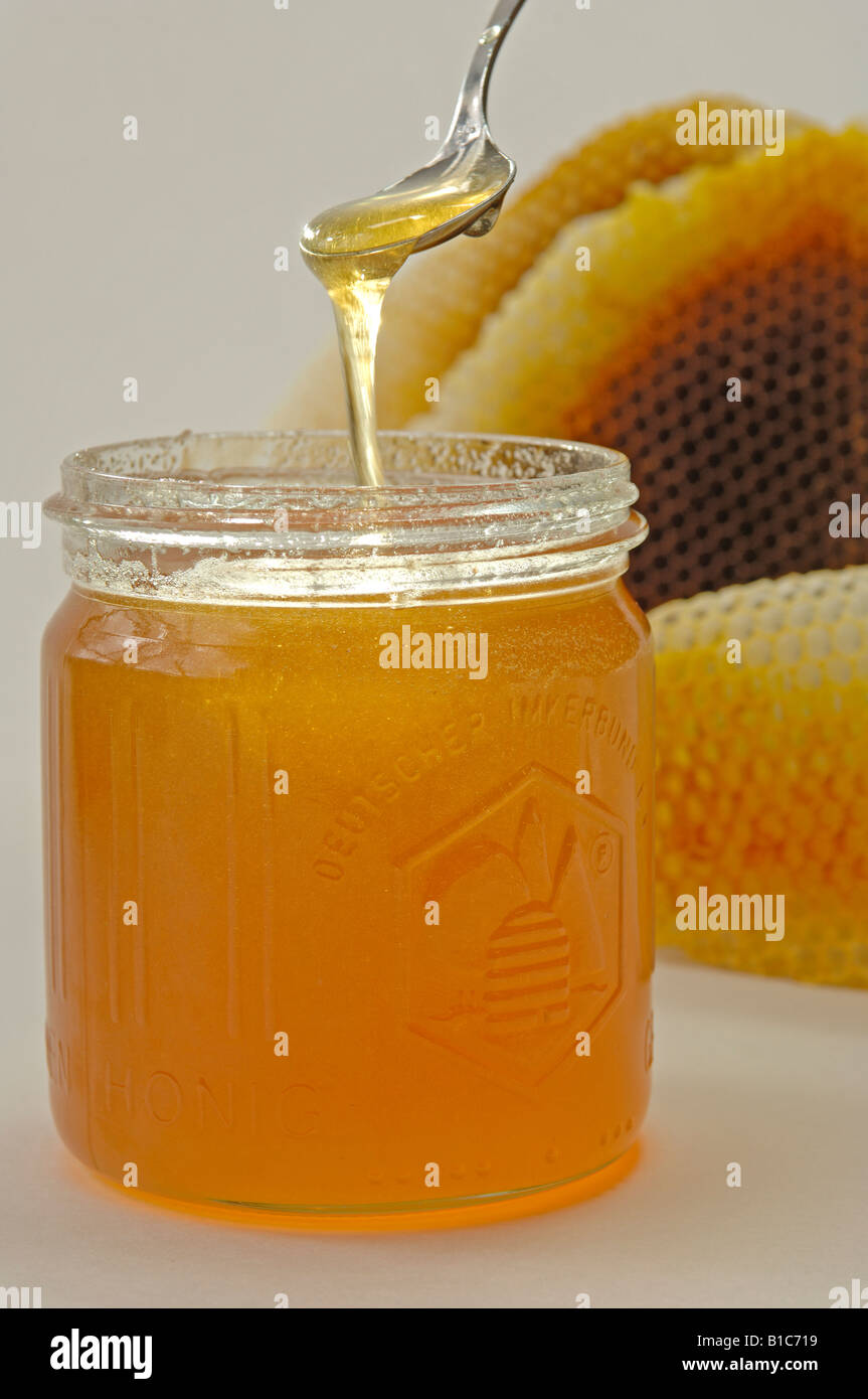 L'abeille européenne, l'abeille à miel (Apis mellifera, Apis mellifica), un verre de miel avec une cuillère de miel et Banque D'Images