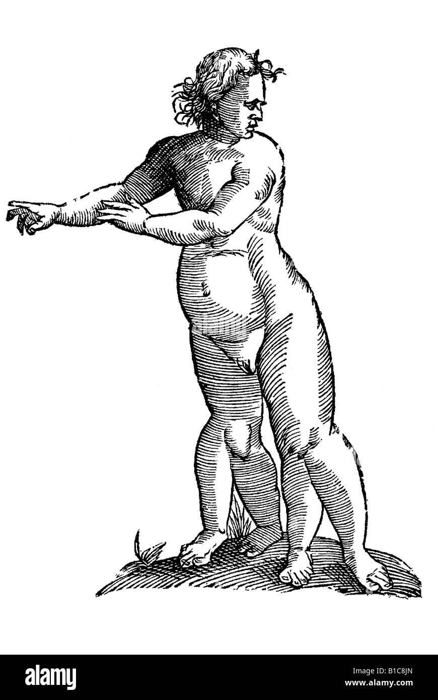 Quadrrupes Infans Russi, Aldrovandi, 1642, 17e siècle, la renaissance, l'Europe Banque D'Images