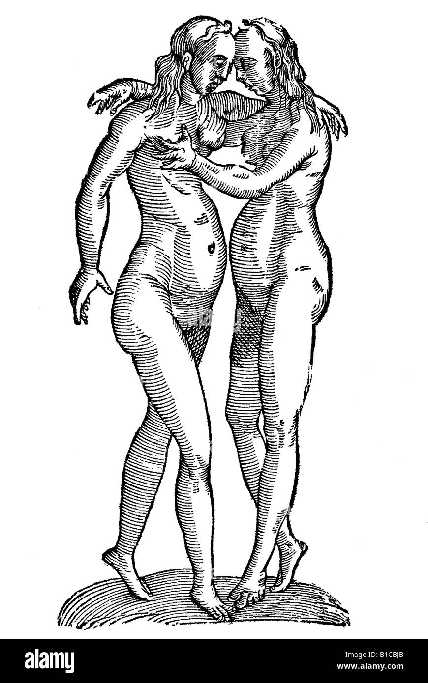 Gemellae frontibus cohaerentes, Aldrovandi 1642 17ème siècle l'Europe de la renaissance Banque D'Images