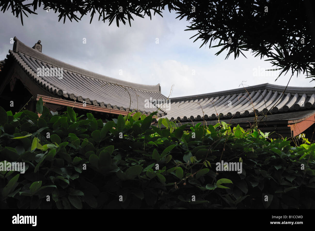 Oriental, sol carrelé de style chinois à travers des arbres sur le toit Banque D'Images