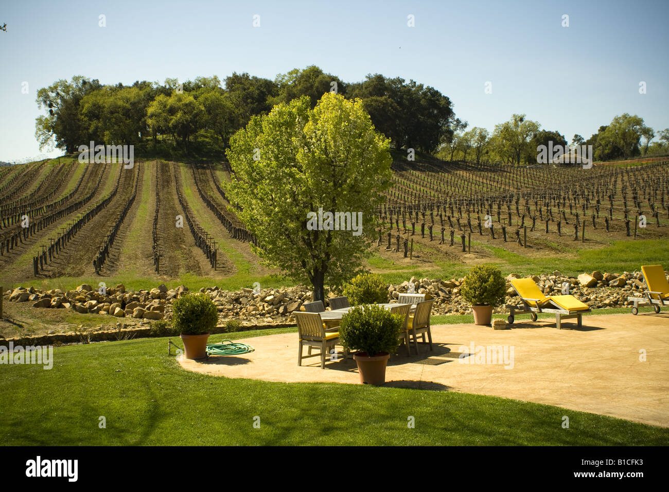 Vignobles et patio à Justin winery Paso Robles Californie Banque D'Images