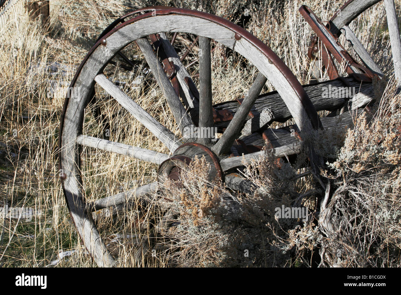 Les vieilles roues de charrette dans sage brush Banque D'Images