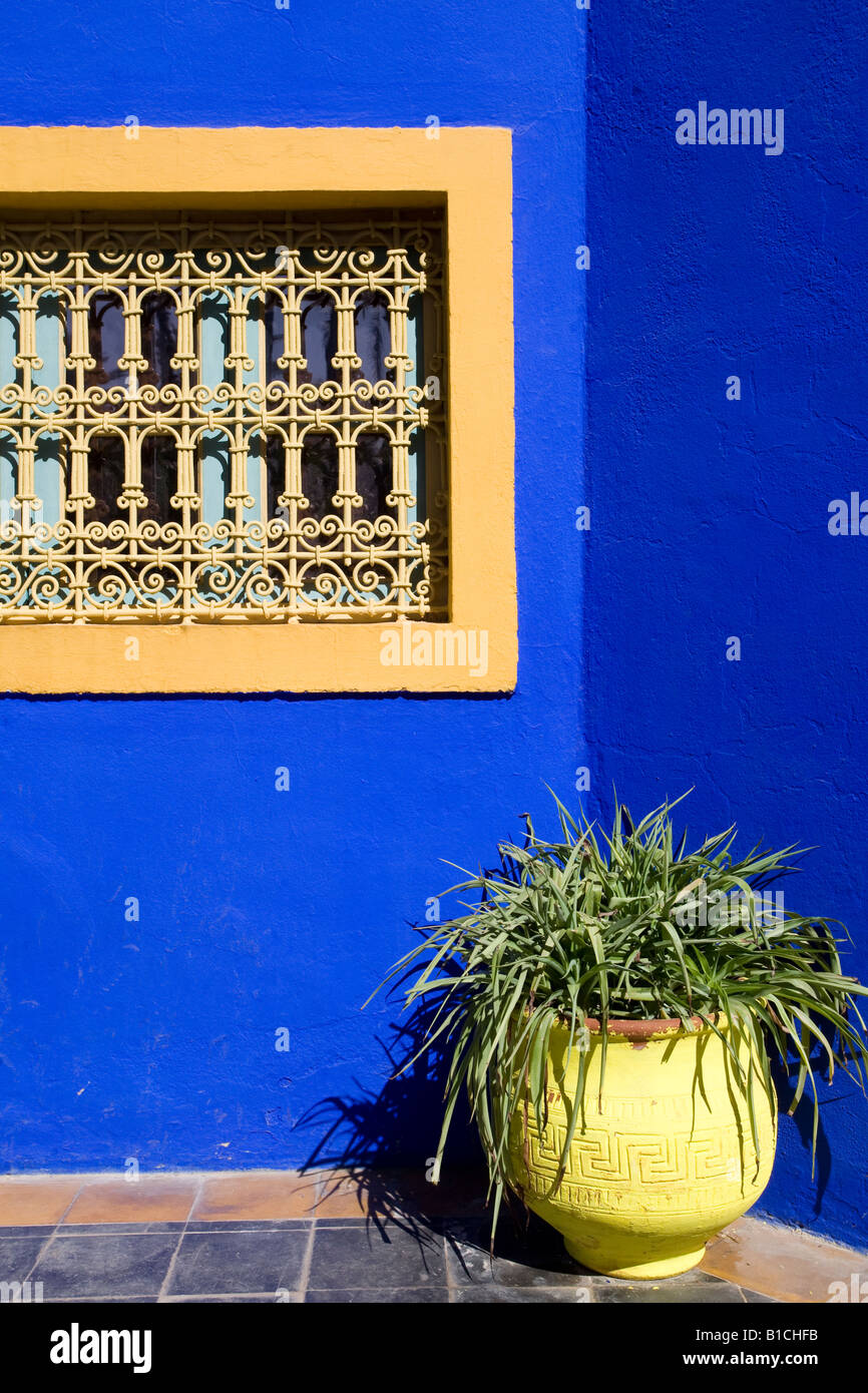 Mur peint en bleu Majorelle. Jardin Majorelle, Marrakech, Maroc Photo Stock  - Alamy