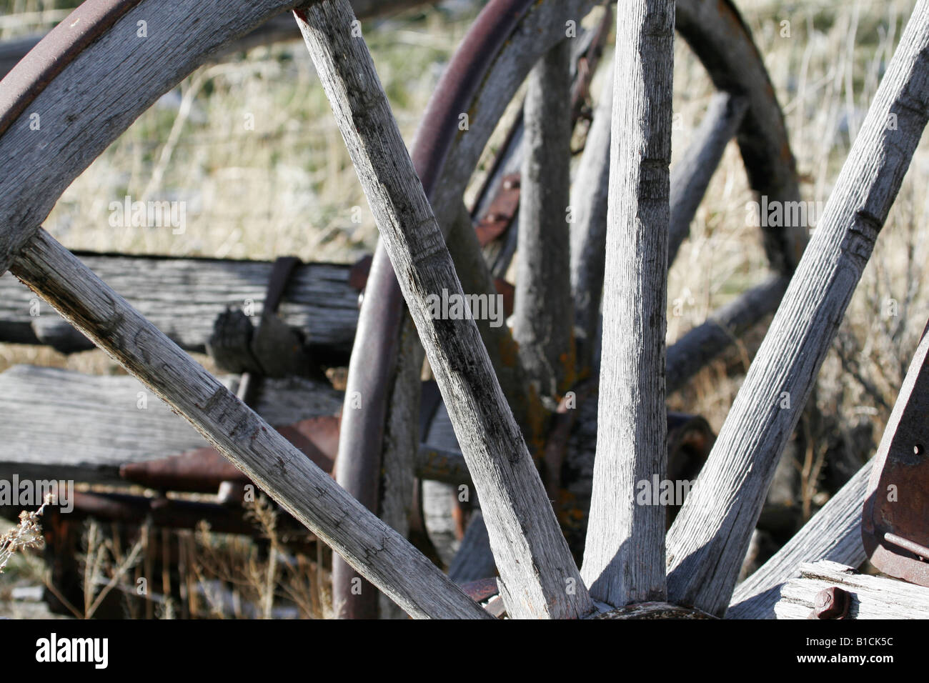 En Bois ancienne roue de chariot dans l'armoise Banque D'Images