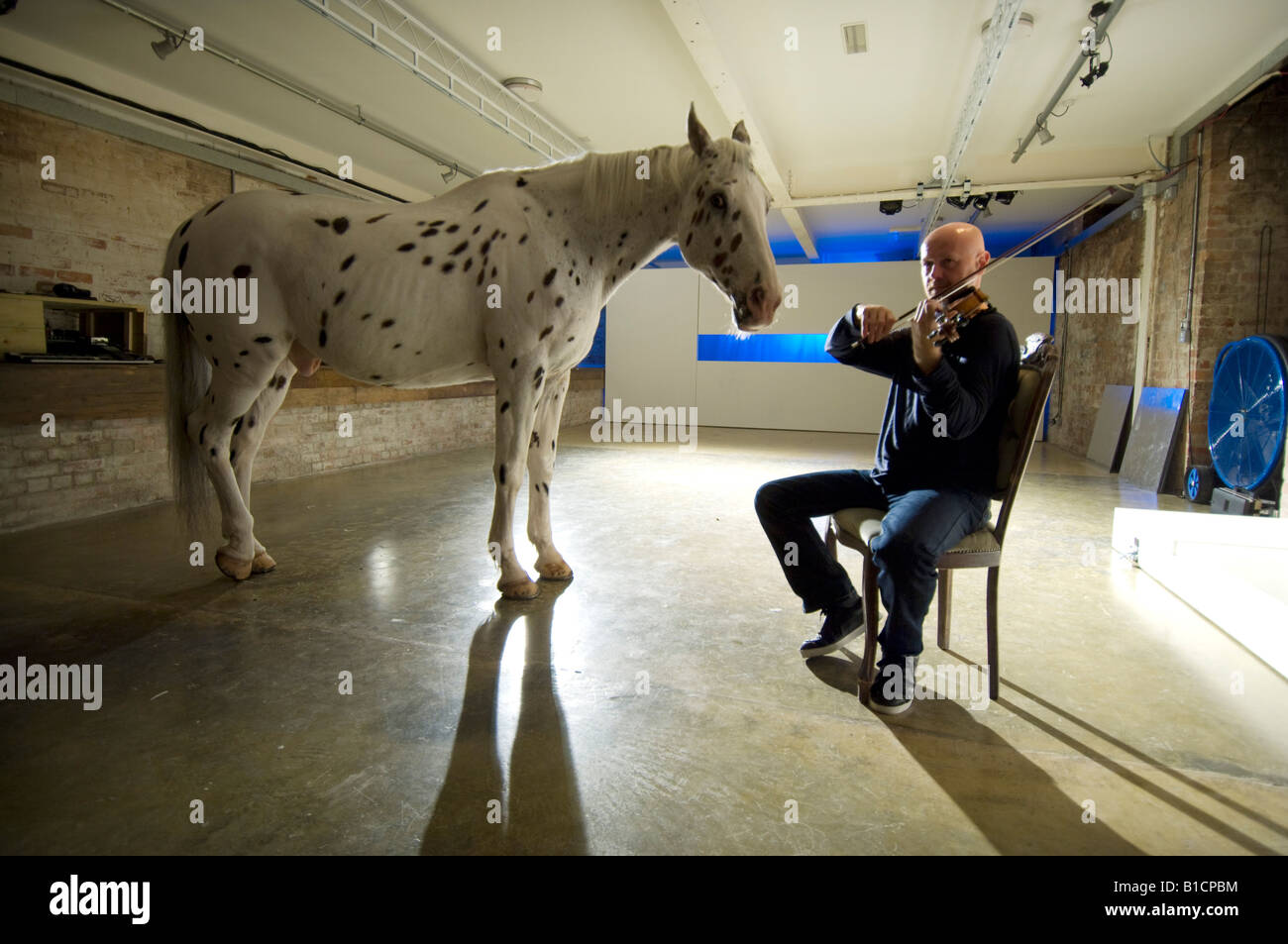 L'homme cheval sérénades avec violon en théâtre dans le cadre du Brighton Festival Banque D'Images