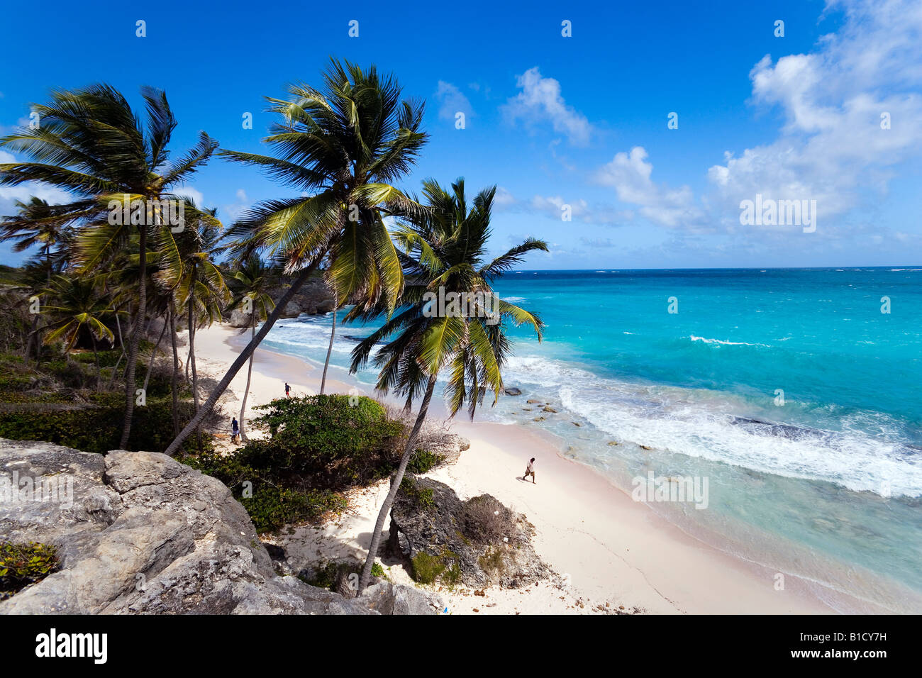 Vue sur la plage de Harrismith St Philip Barbade Caraïbes Banque D'Images