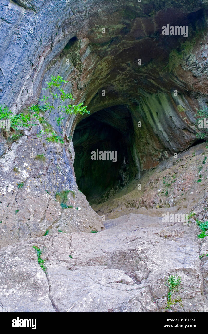 L'entrée de Thor's Cave dans la vallée du collecteur de la crête blanche calcaire dans le Staffordshire en Angleterre dans le Peak District Banque D'Images