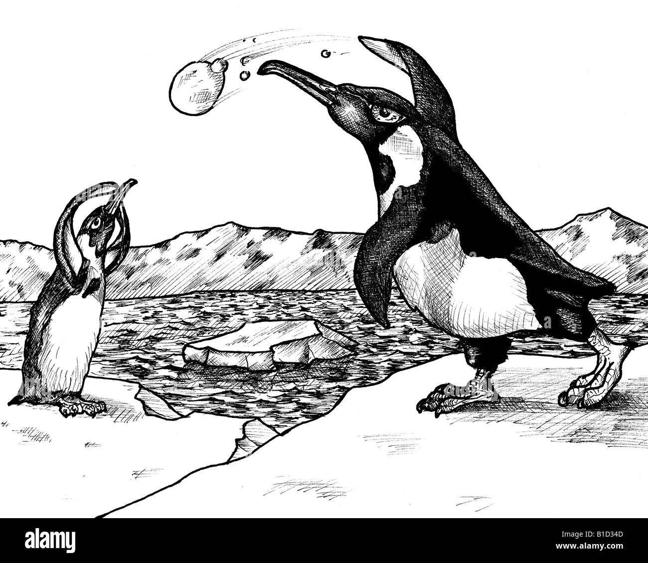 Dessin à l'encre de deux pingouins ayant une bataille de boules de neige au Pôle Nord Banque D'Images
