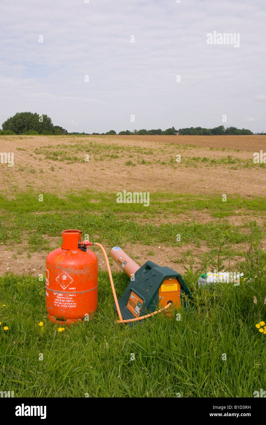 Pigeon scarer Banque de photographies et d’images à haute résolution Alamy