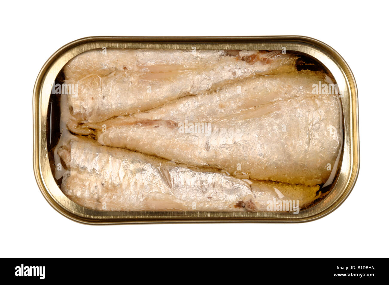 Boîte de conserve de sardines Banque D'Images