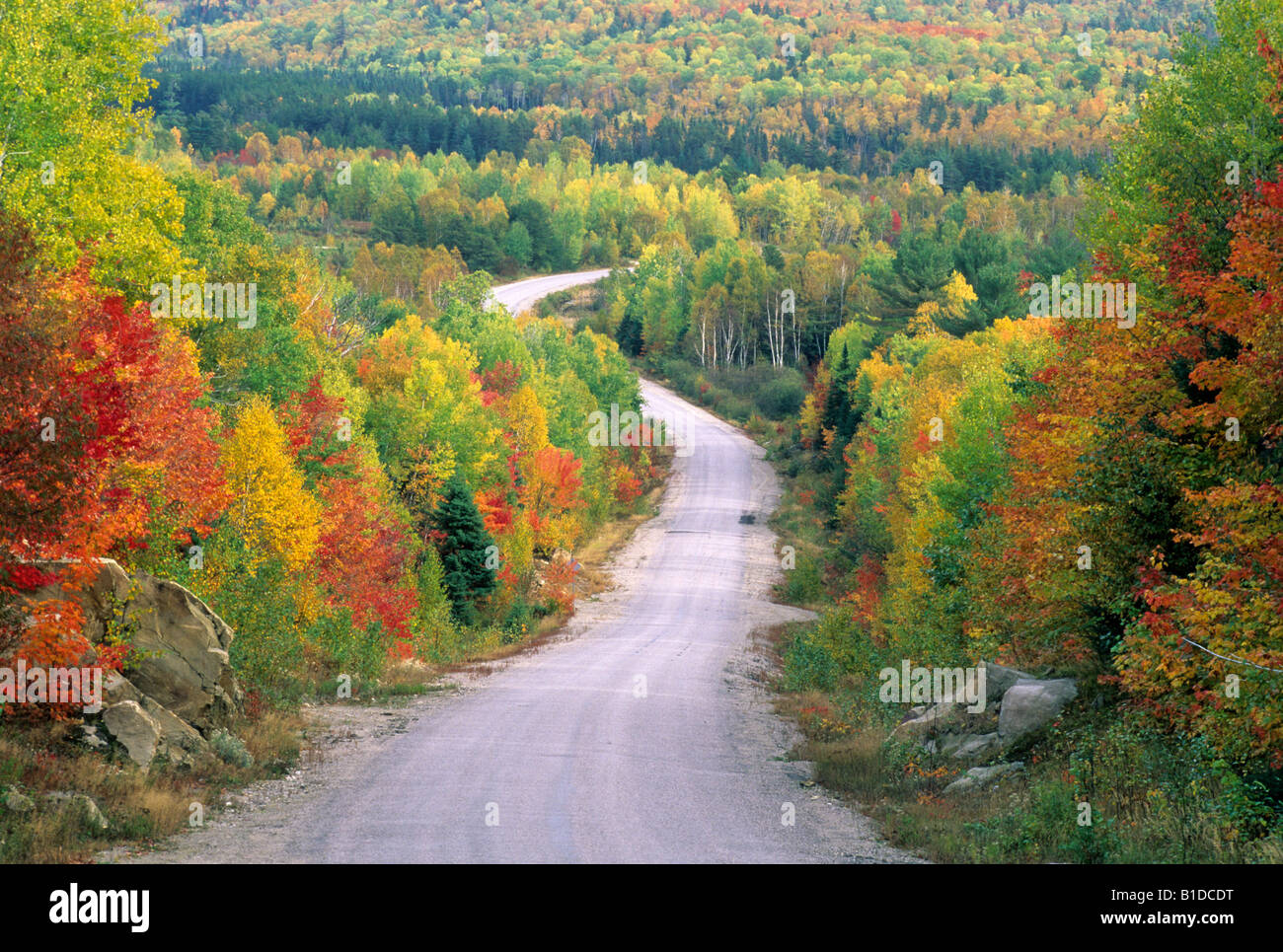 L'autoroute 639, au nord d'Elliot Lake, Ontario, Canada. Banque D'Images