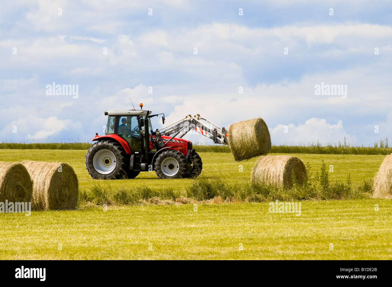 Tracteur agricole Massey Ferguson transportant le ballot de paille, France. Banque D'Images