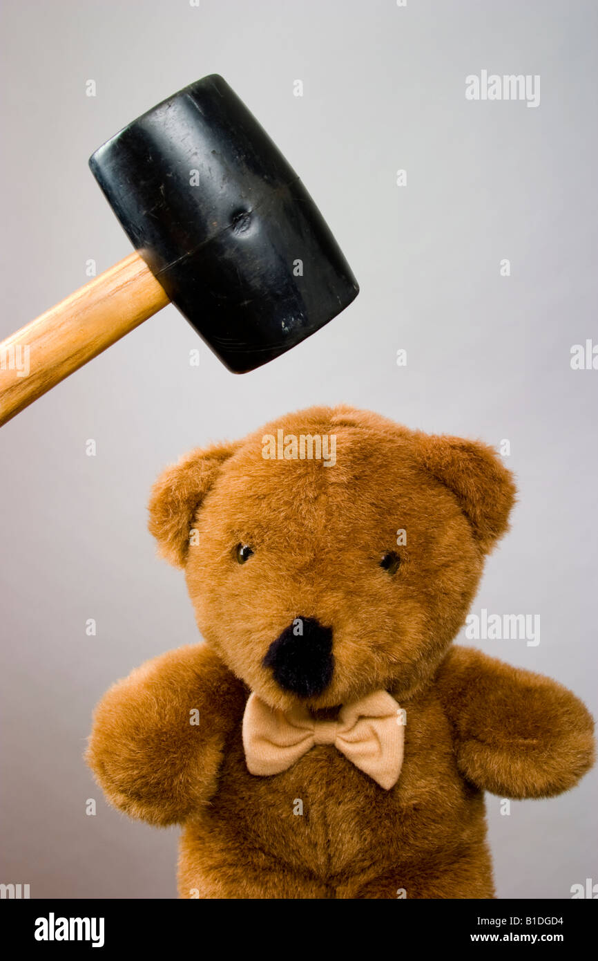 Ours à propos d'être frappé à la tête avec un maillet en caoutchouc Banque D'Images