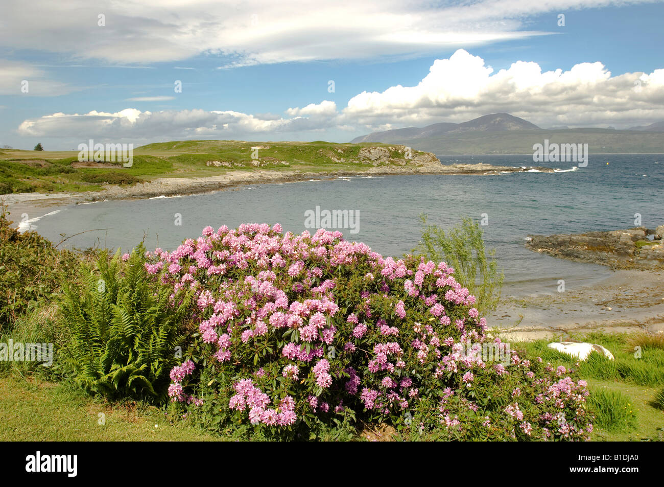 Droit de Port Bay, Carradale, Mull of Kintyre. Avec vue sur l'Carradale Golf et l'île d'Arran au-delà. Banque D'Images