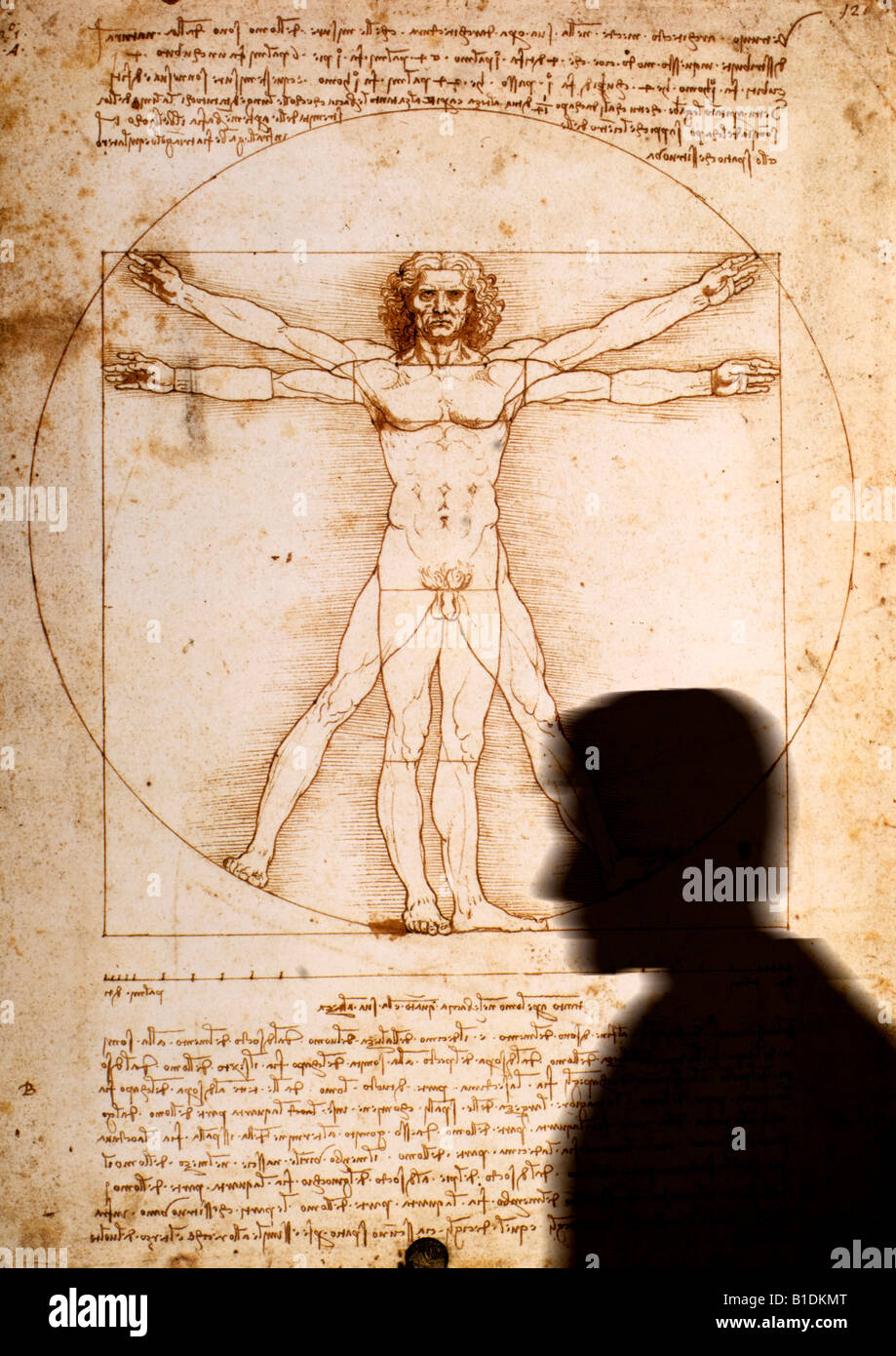 Homme marchant passé poster de l'homme de Vitruve par Leonardo da Vinci Banque D'Images