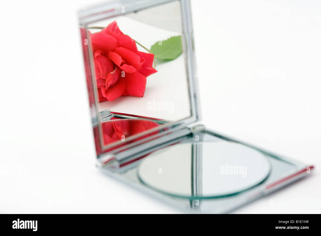 Ouvrir la réflexion de miroir avec une rose rouge Banque D'Images
