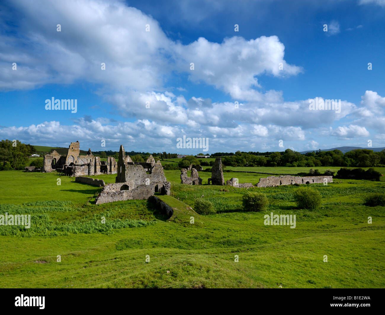 Athassel Abbey Golden Tipperary Irlande Banque D'Images
