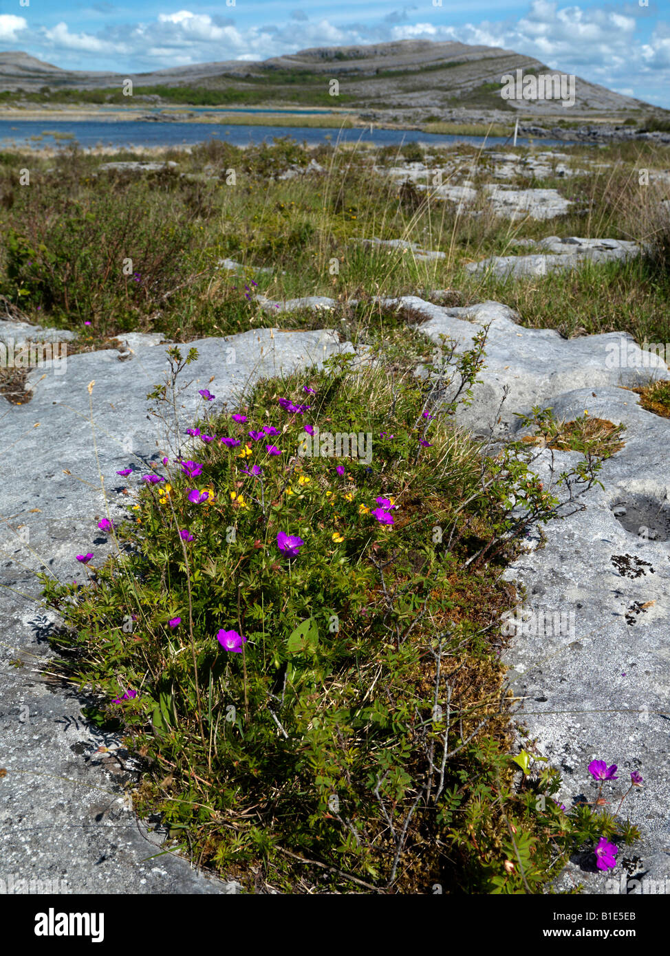 Gealain Lough et Mullagh plus claire l'Irlande Burren Banque D'Images