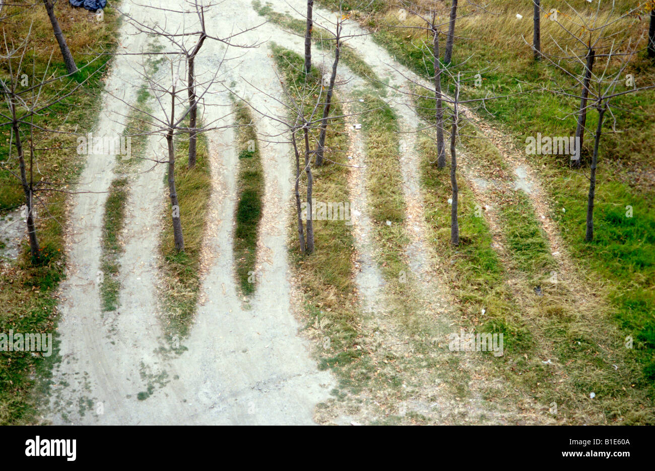 Sur les traces de pneus rainurés en marche entre les arbres avec les ordures autour de la pose pendant l'hiver. Banque D'Images