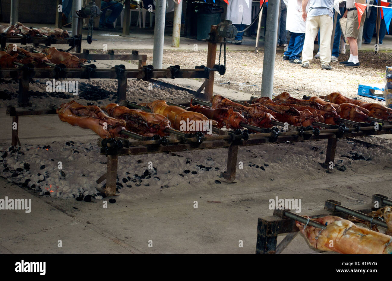 Torréfaction porcs sur un charbon de bois à un pique-nique croate Banque D'Images