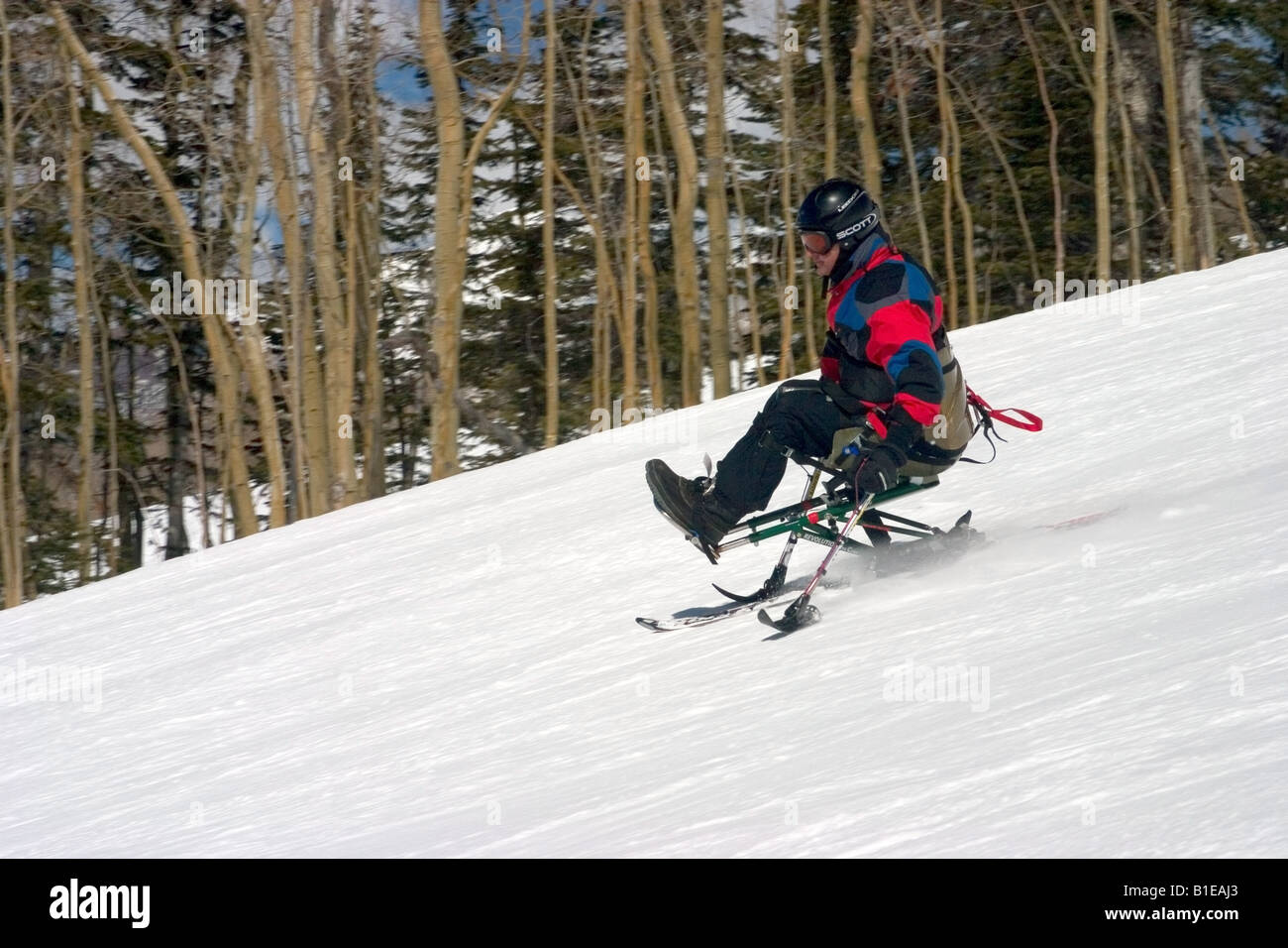 Mono-ski skieur vers le bas de la pente de ski au camp à Telluride au  Colorado Photo Stock - Alamy