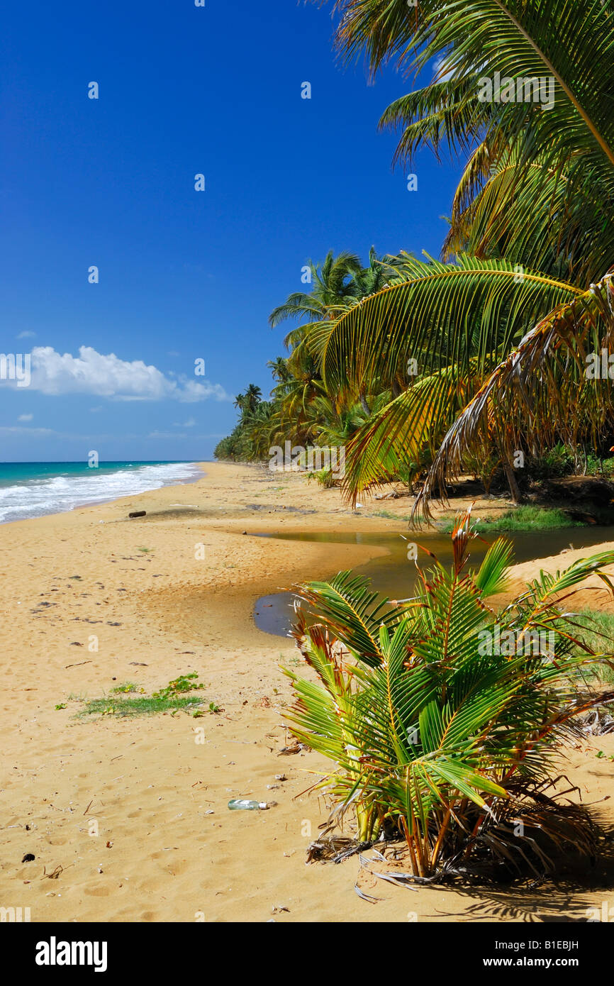 La belle plage de Los Pinos et rapide près de Hammoor dans le sud-est de Porto Rico Banque D'Images